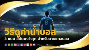 วิธีดูค่าน้ำบอล
